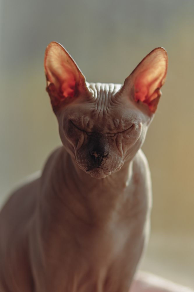 Photograph by Виктория Руснак