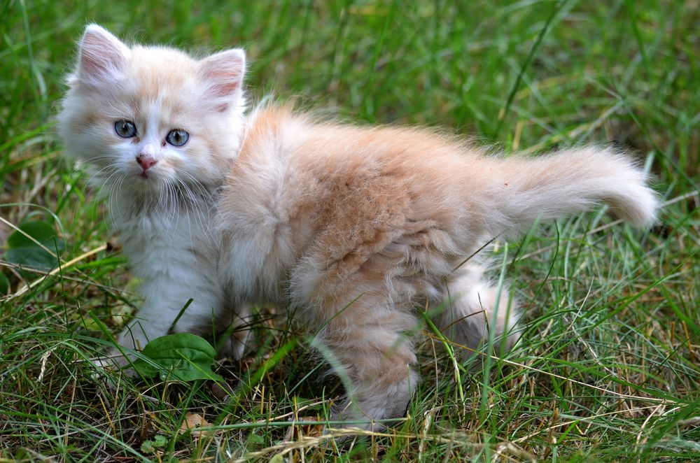 Photograph by Евгений Каримов