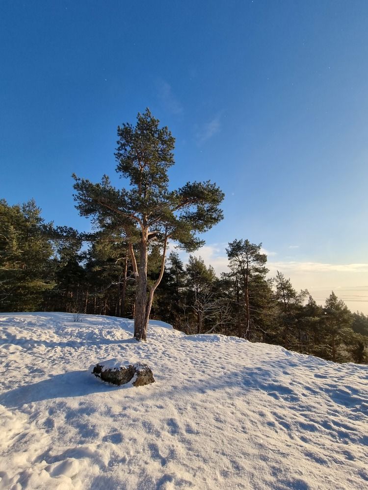 Photograph by Natalia Novikova