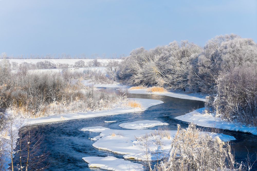 Фотография автора Николай Бологов