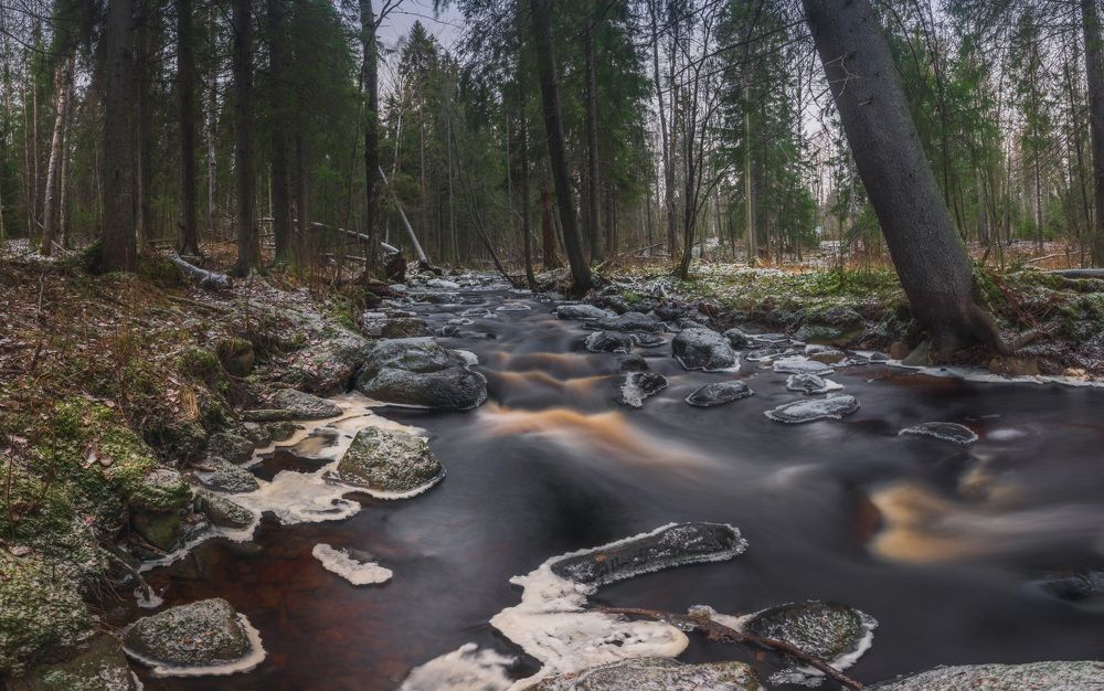 Photograph by Denis Koshkin