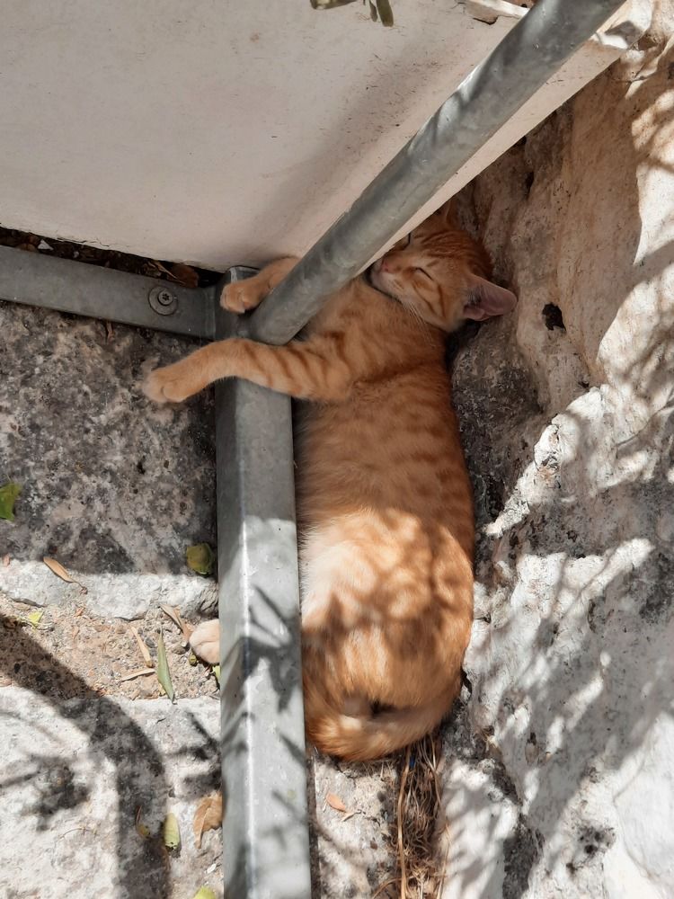 Photograph by Елена Симонова