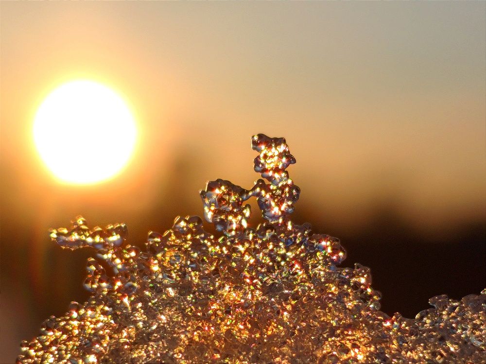 Photograph by Алексей Скворцов