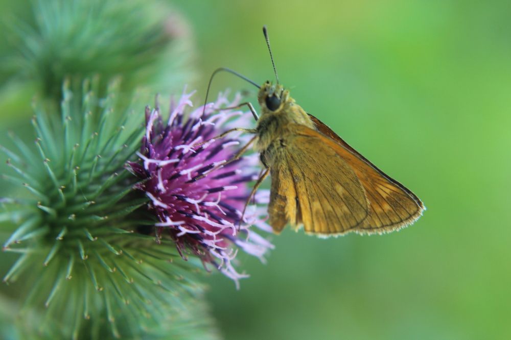 Photograph by Yordanka Vasileva