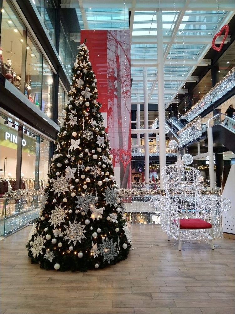 Фотография автора Danica Utjesinovic