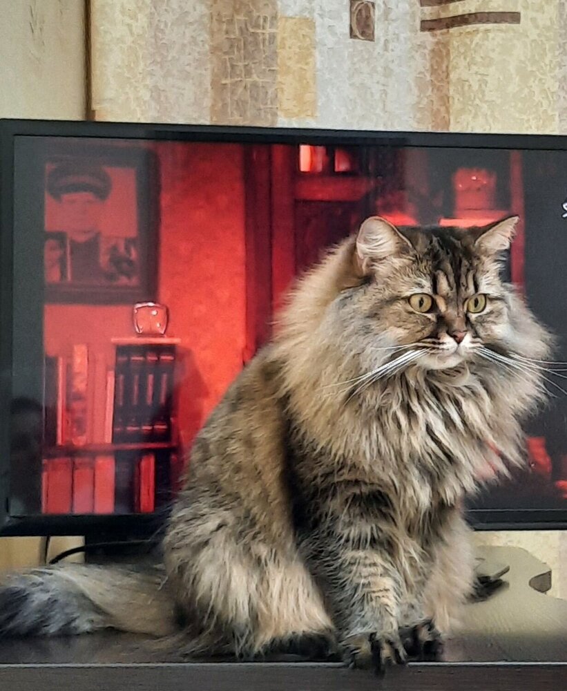 Photograph by natalya
