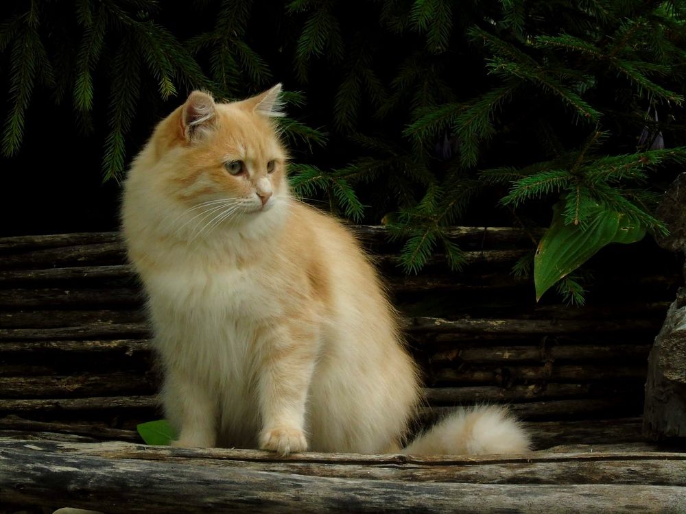 Photograph by Надежда Батракова