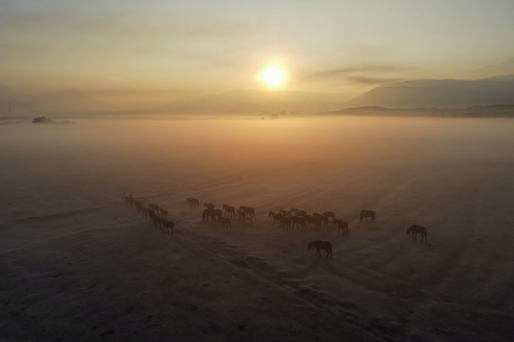 Photograph by Ramazan Cirakoglu