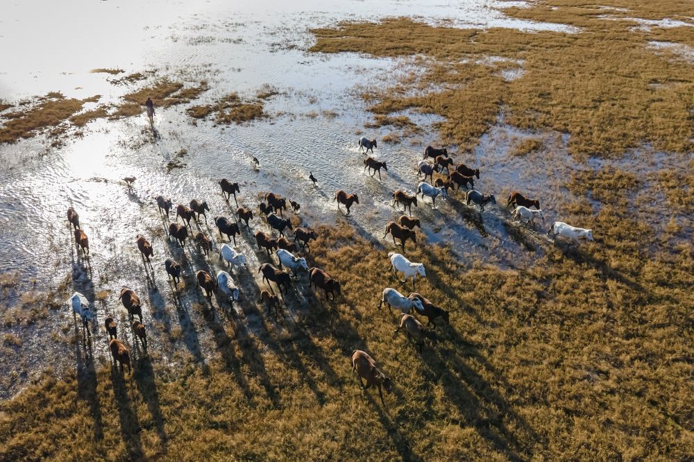 Photograph by Ramazan Cirakoglu