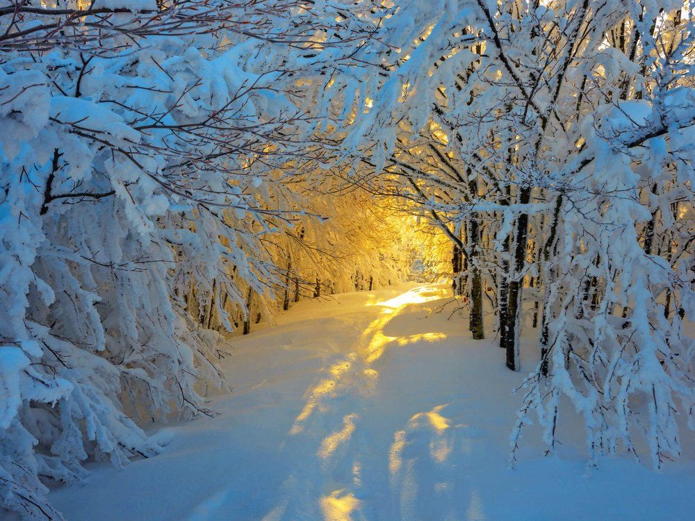 Photograph by Анна Закирова