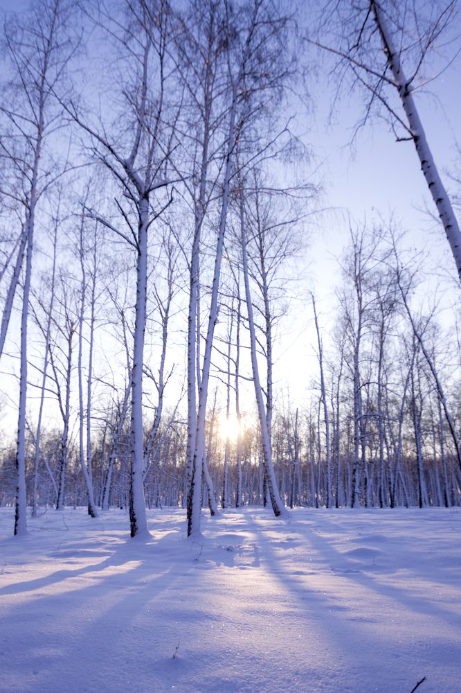 Photograph by Лис Ната