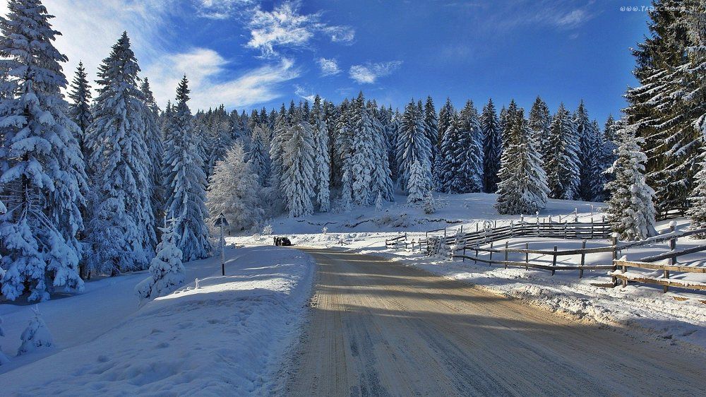 Photograph by Анна Закирова