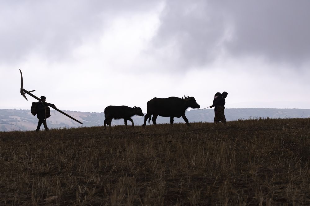 Photograph by Ramazan Cirakoglu
