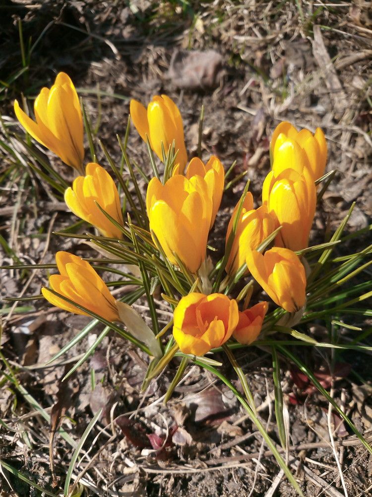 Photograph by Елена Мясникова