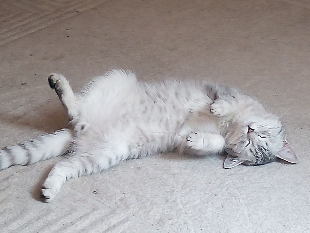 Photograph by Елена Мясникова