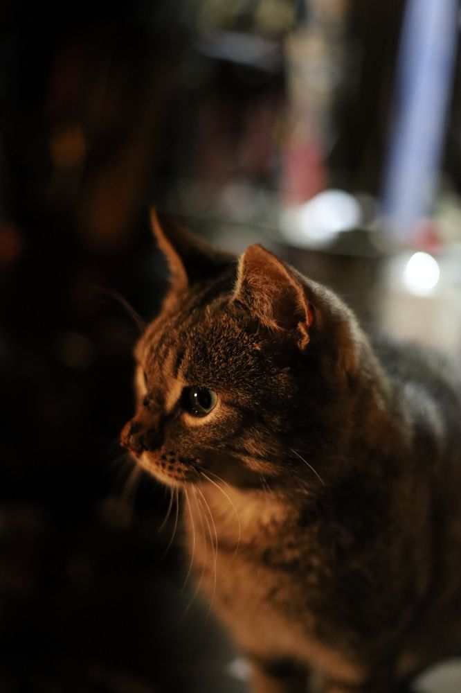 Photograph by Миркулов Кирилл