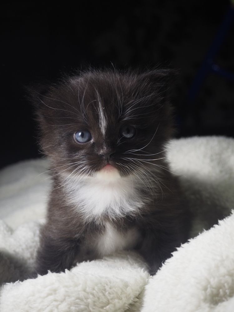 Photograph by Светлана Шибаршина