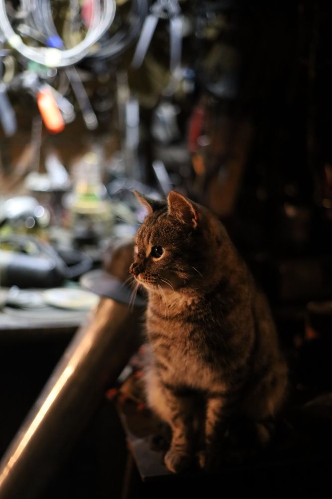 Photograph by Миркулов Кирилл