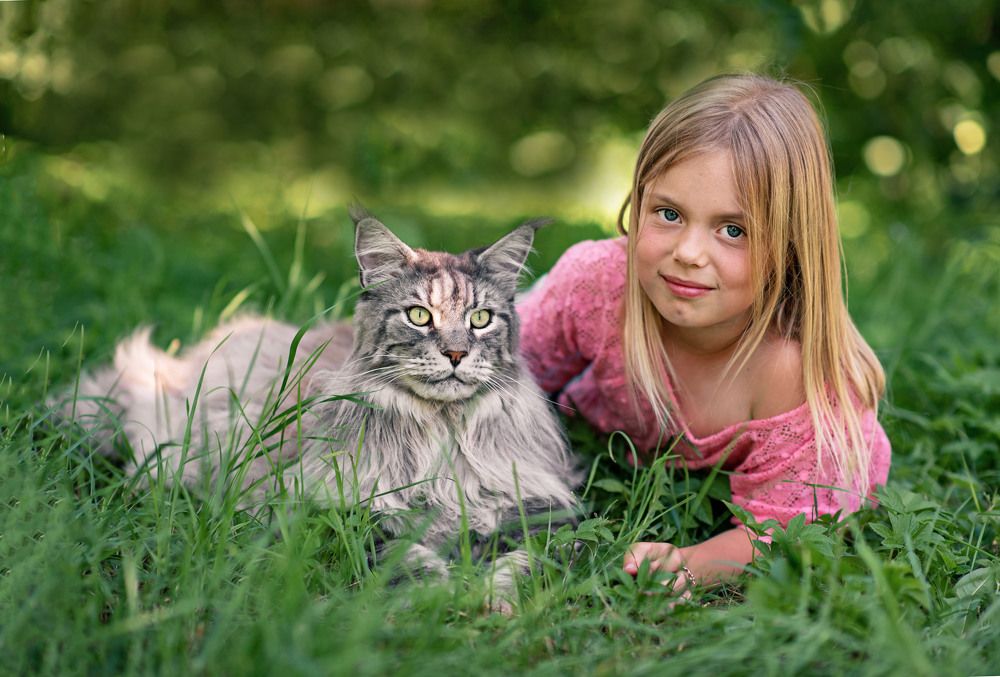 Photograph by Ольга Черкасова