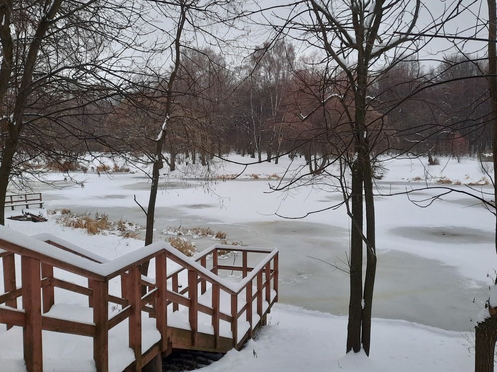 Photograph by Елена Симонова