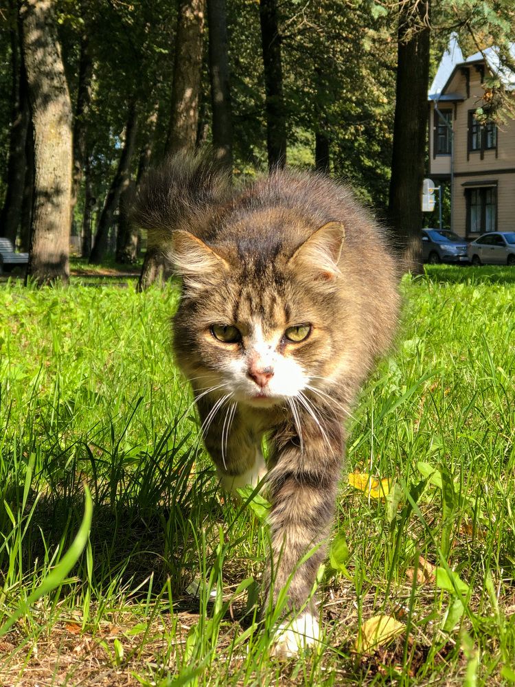 Фотография автора Сергей Ефимов