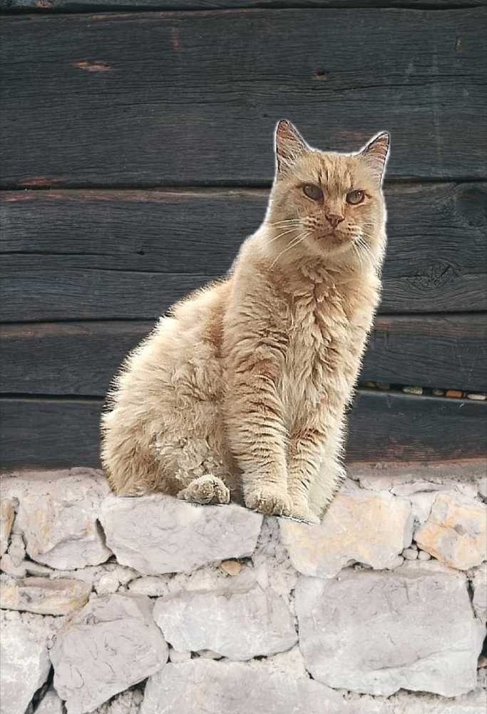 Photograph by Marina Eremin