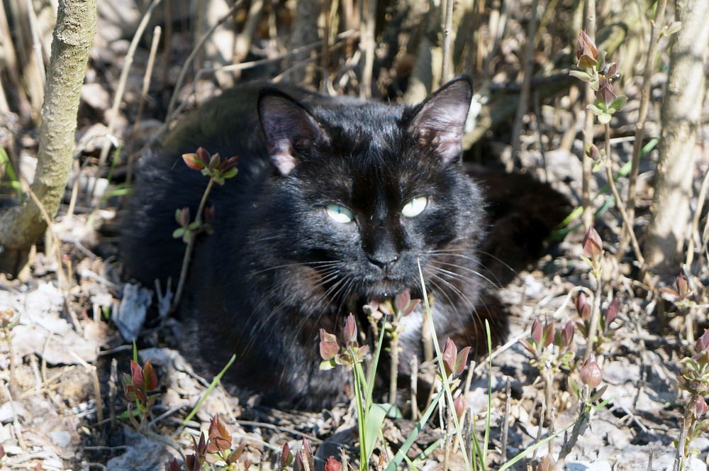 Photograph by Ирина Босак