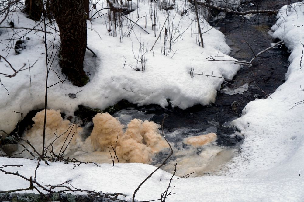 Photograph by Ирина Босак