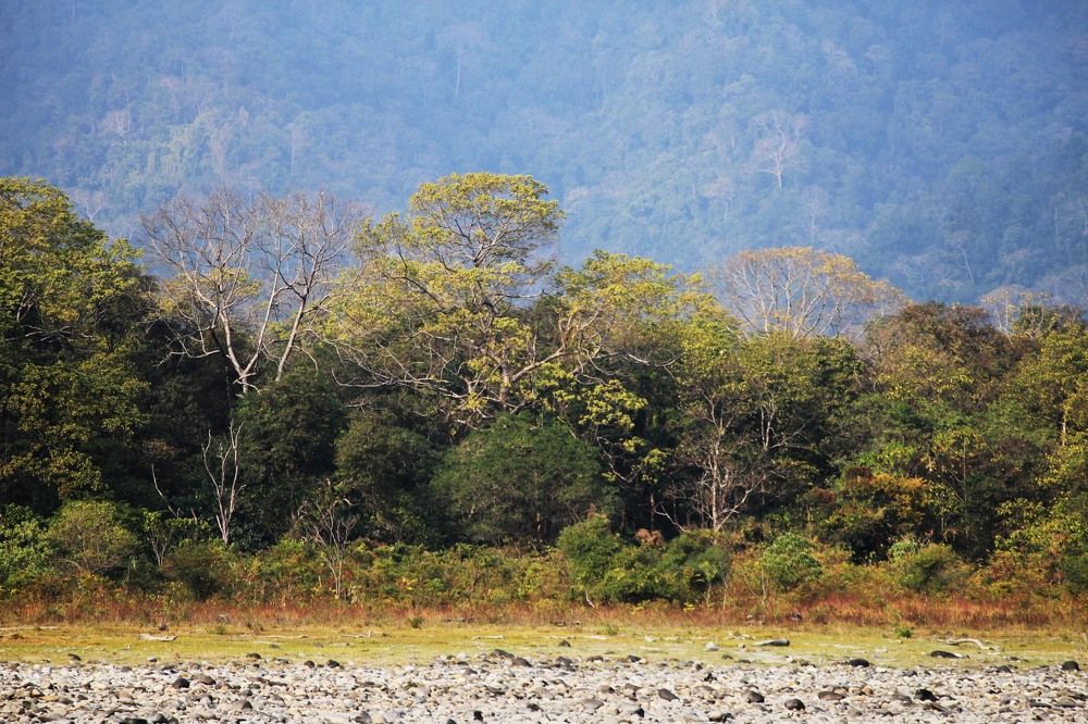 Photograph by Arindam Khatua