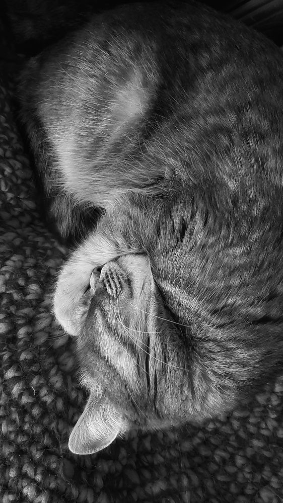 Photograph by Оксана Корепанова