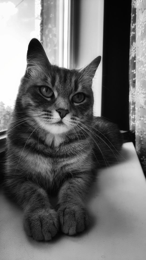 Photograph by Оксана Корепанова