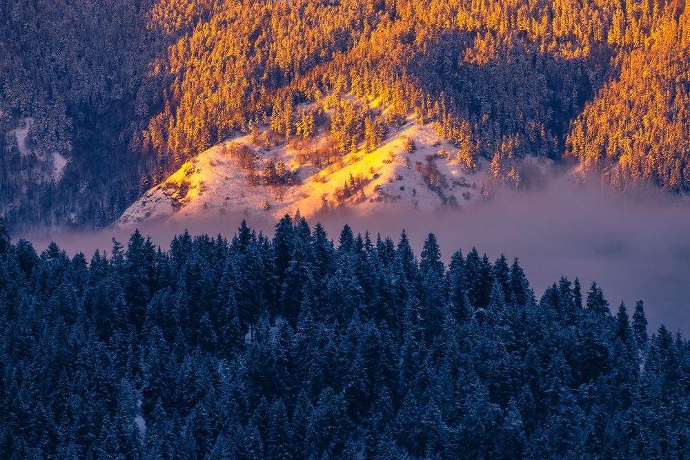 Photograph by giorgi yurashvili