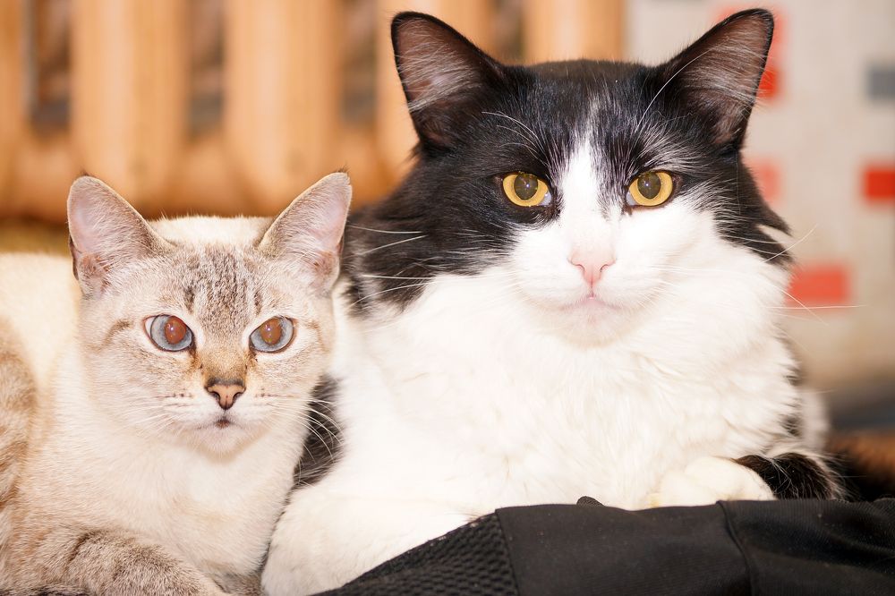 Photograph by Юля Хатыпова