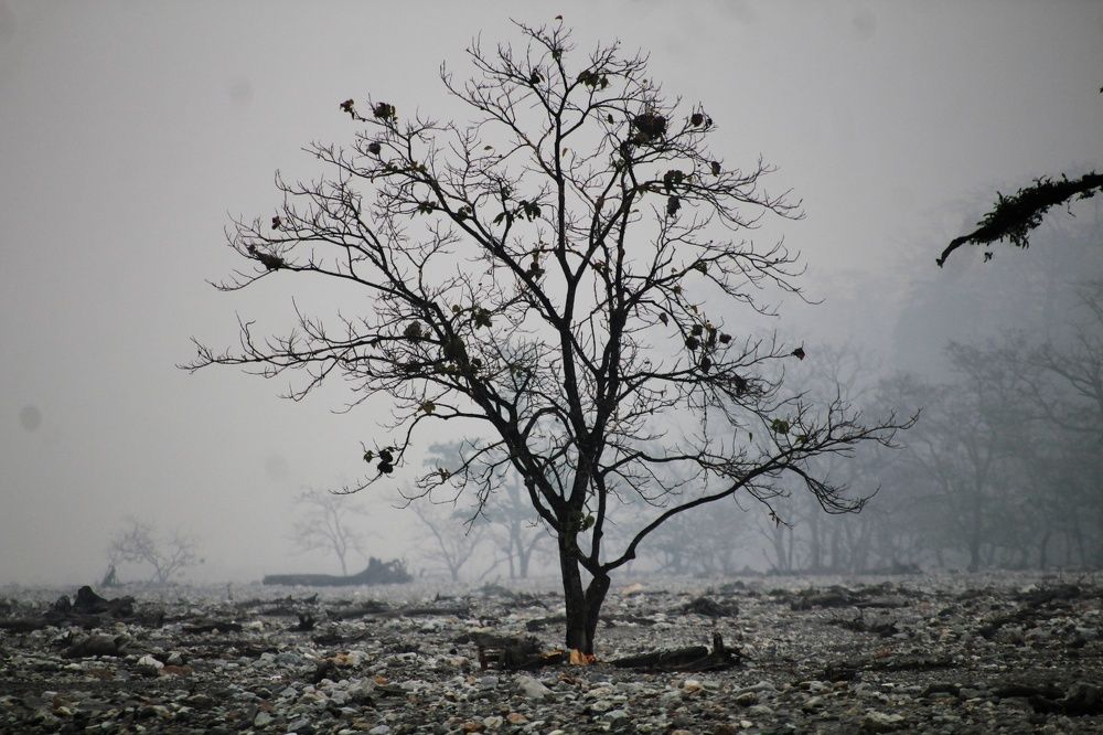 Photograph by Arindam Khatua