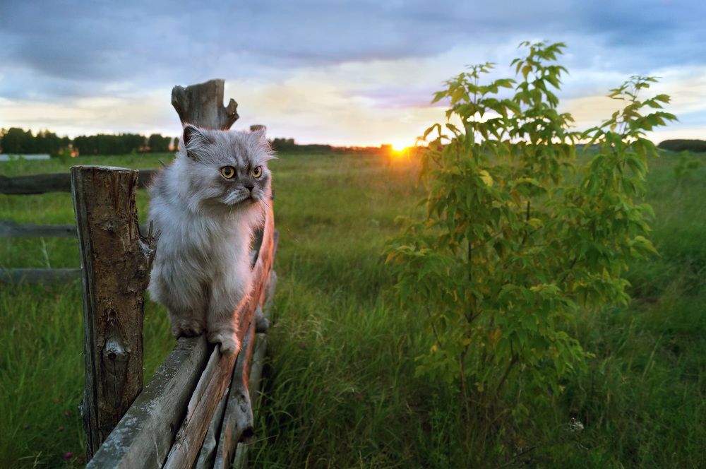 Photograph by Мишустина Татьяна