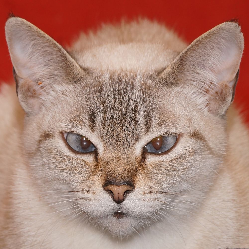 Photograph by Юля Хатыпова