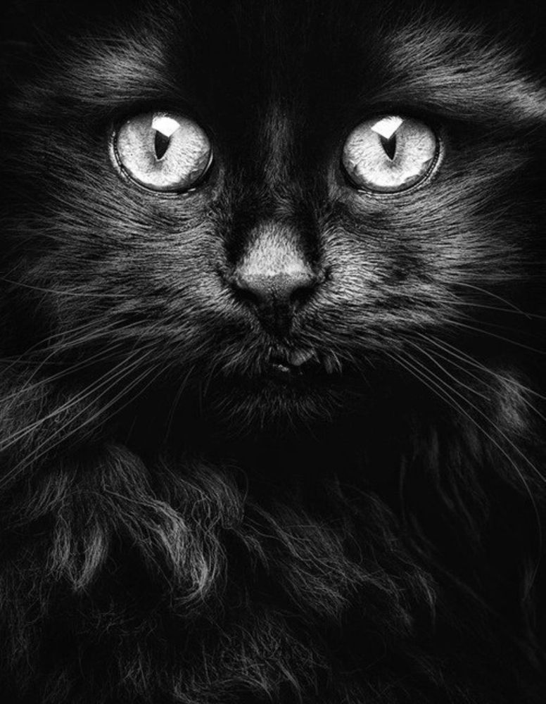 Photograph by Анна Закирова