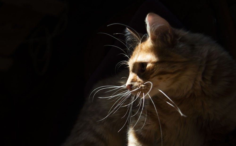 Photograph by Ilze Onzule