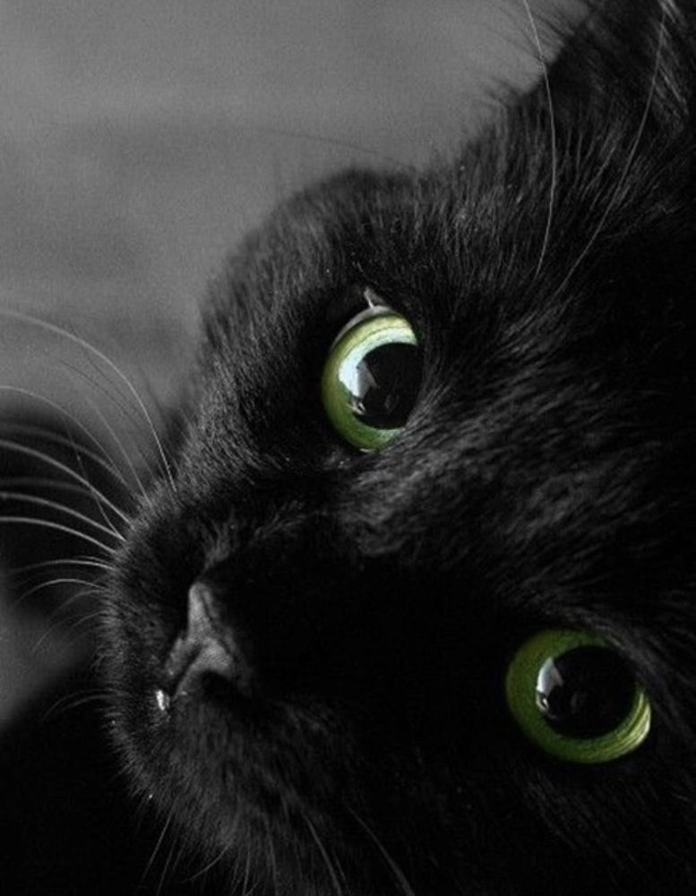 Photograph by Анна Закирова