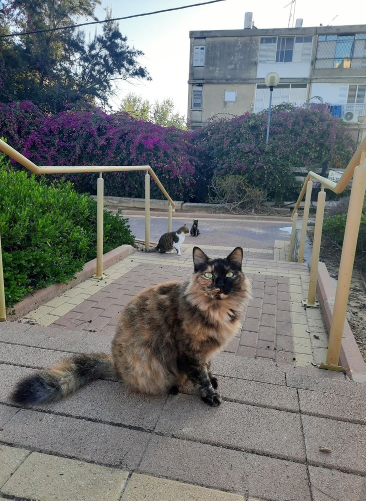 Фотография автора Tetiana Danylenko