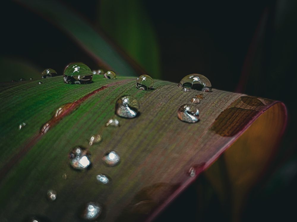 Photograph by Jokers96