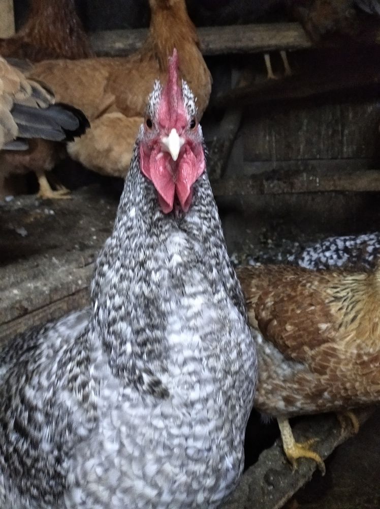 Photograph by Елена Коробченко