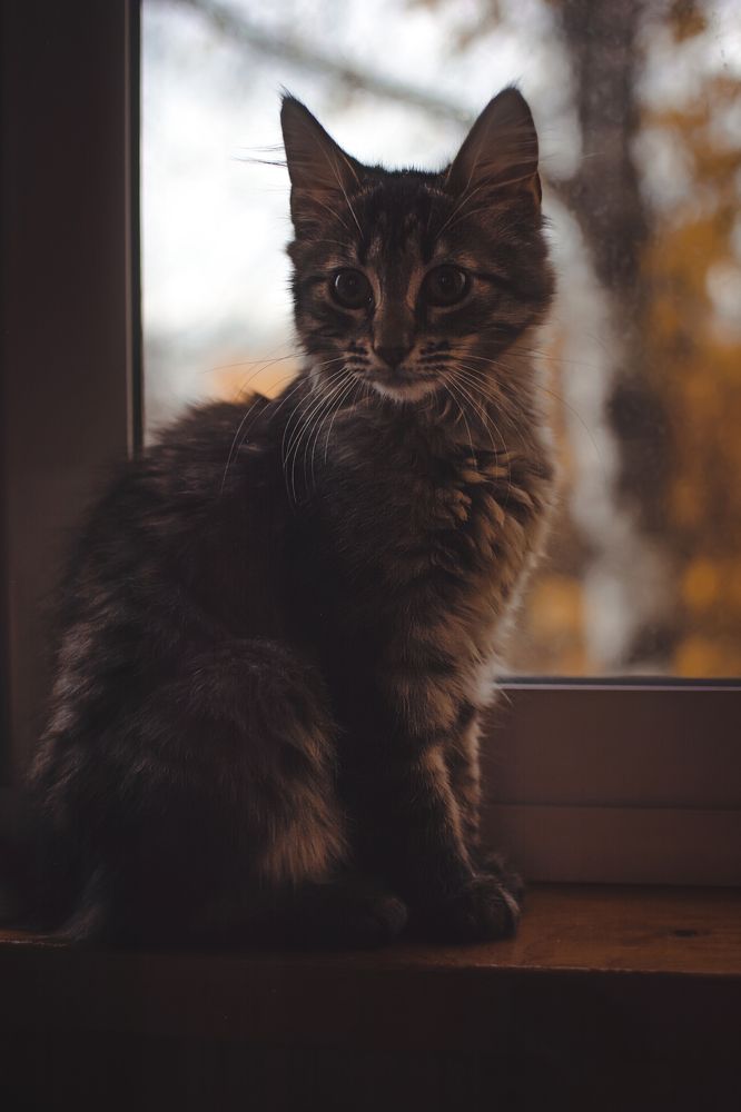 Photograph by Евгений