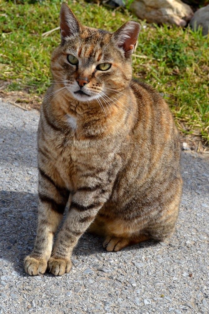 Photograph by Екатерина Валиуллина