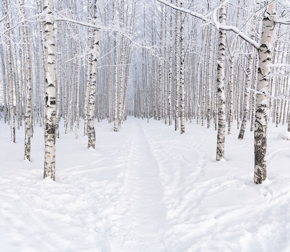 Фотография автора Карепанов Евгений