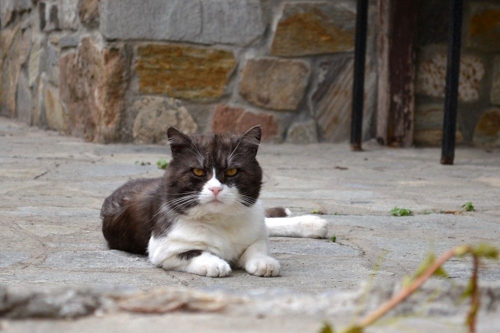 Photograph by Екатерина Валиуллина