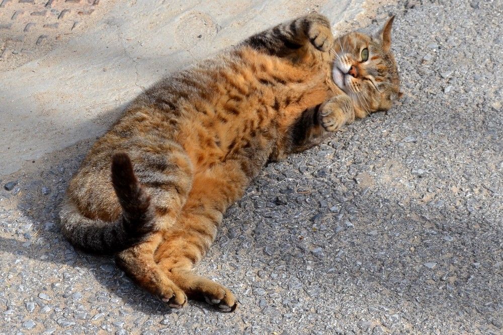 Photograph by Екатерина Валиуллина