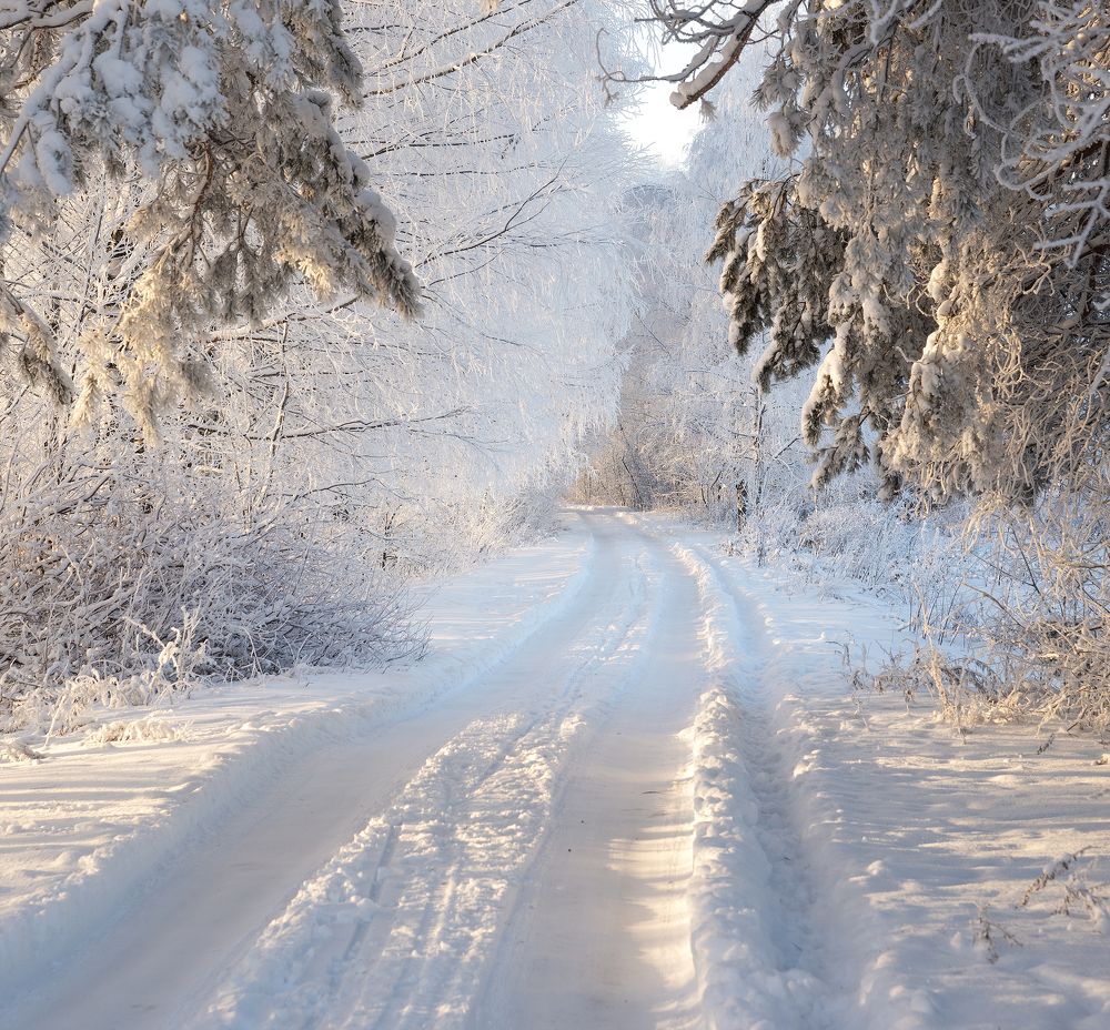 Фотография автора Карепанов Евгений