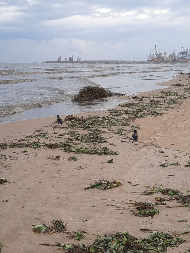 Фотография автора Tetiana Danylenko
