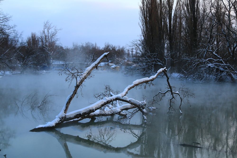 Фотография автора Сергей Кульков